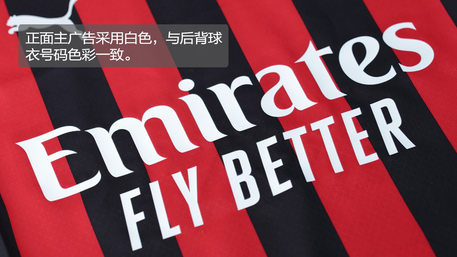 篮球篮网明星球员强调团结：我们是一支队伍（篮网核心强调团结：我们是一体）